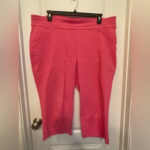 22W Kim Rogers Capri NWOT Comfort Band